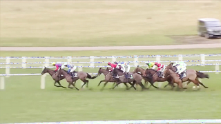 ALL RACES | Howden Christmas Racing Weekend Saturday | 23rd December 2023