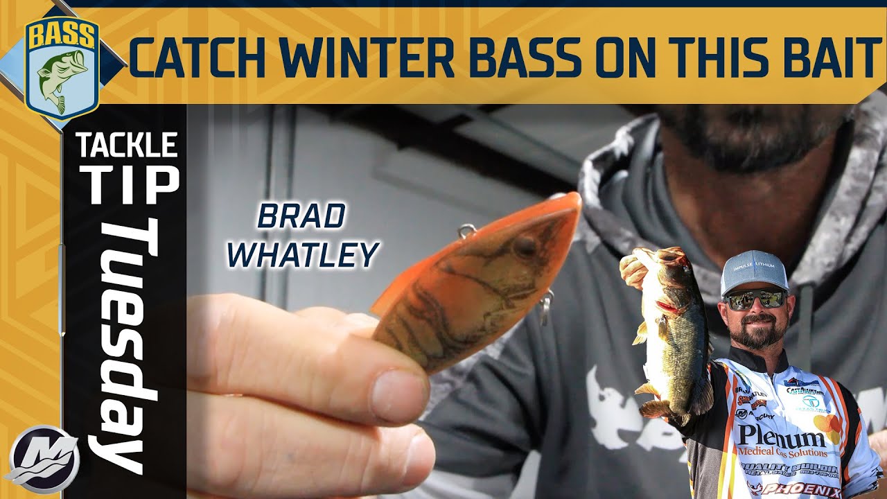 Catch more winter bass by power fishing this bait