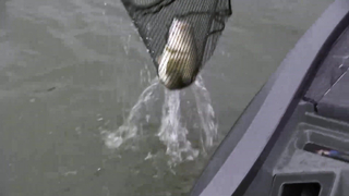 Tackle Warehouse Invitationals | Stop 1 - Sam Rayburn Reservoir | Day 1