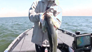 Highlights: Day 2 Bassmaster action at Toledo Bend