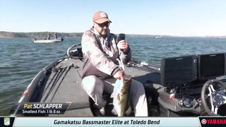 Highlights: Day 2 Bassmaster action at Toledo Bend