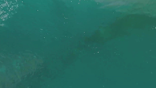 4 Minutes Of Pure Cliff Diving Bliss