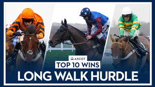 Top 10 Recent Wins | The Long Walk Hurdle