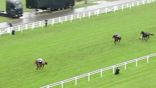 Top 10 Recent Wins | The Long Walk Hurdle