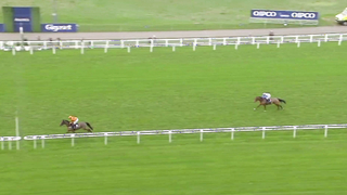 Top 10 Recent Wins | The Long Walk Hurdle