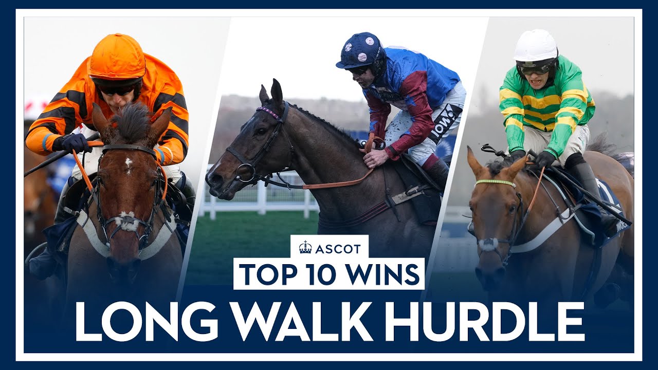 Top 10 Recent Wins | The Long Walk Hurdle