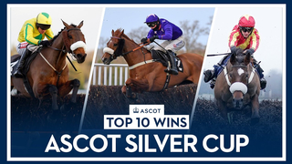 Top 10 Recent Wins | Ascot Silver Cup