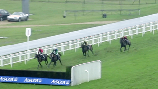 Top 10 Recent Wins | Ascot Silver Cup