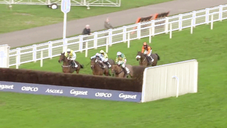 Top 10 Recent Wins | Ascot Silver Cup