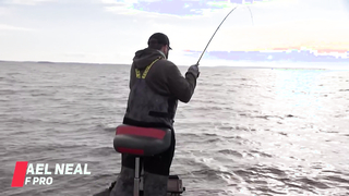 Bass Pro Tour | Stage One | Toledo Bend | Qualifying Day 2 - Group B Highlights