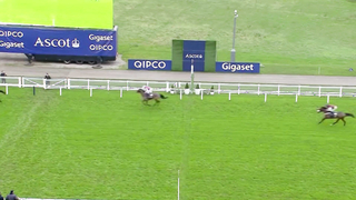 Top 10 Recent Wins | Noel Novices' Chase