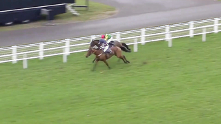 Top 10 Recent Wins | Noel Novices' Chase