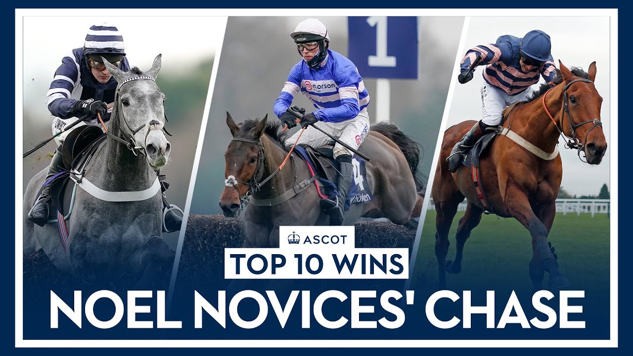 Top 10 Recent Wins | Noel Novices' Chase