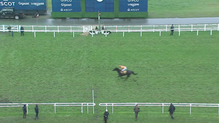 Top 10 Recent Wins | The Betfair Exchange Trophy Handicap Hurdle