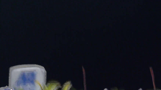 Day 8: COLOMBIA VS VENEZUELA | GAME 30 SUMMARY