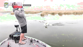 LIVEWELL previews 2024 Bassmaster Elite at Toledo Bend
