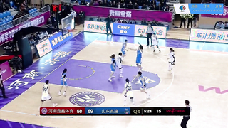 Intense Showdown: Henan Phoenix vs. Shandong Sports lottery| WCBA 2024/02/28 Live