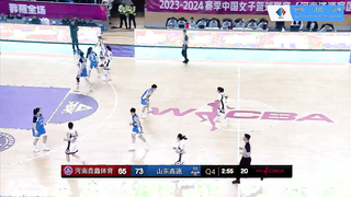 Intense Showdown: Henan Phoenix vs. Shandong Sports lottery| WCBA 2024/02/28 Live