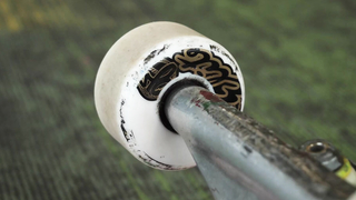 Setups: Brighton Zeuner’s Dipped-in Pink Frog Skateboard