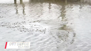 Bass Pro Tour | Stage One | Toledo Bend | Qualifying Day 2 - Group A Highlights