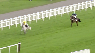 The 1965 Chase | Historic Wins