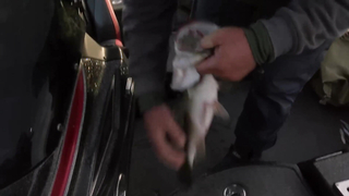 Highlights: Bassmaster Open at Lake Ouachita (Final Day)