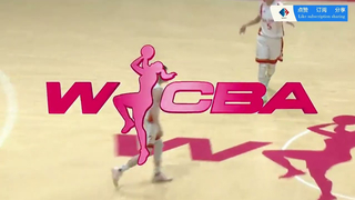 Zhejiang Chouzhou Bank vs. Liaoning Shuangxi Electrical Appliances