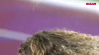 The best of the Santiago 2023 Pan American Games