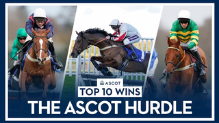 Top 10 Recent Wins | The Ascot Hurdle