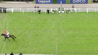 Top 10 Recent Wins | The Ascot Hurdle