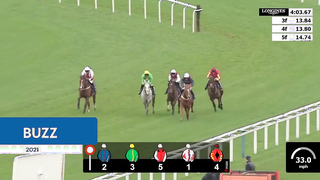 Top 10 Recent Wins | The Ascot Hurdle