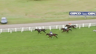 Top 10 Recent Wins | The 1965 Chase