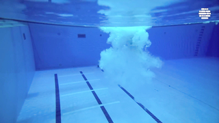 Day 9 | Highlights | World Aquatics Championships - Doha 2024