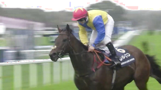 Top 10 Recent Wins | British Champions Sprint Stakes