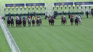 Top 10 Recent Wins | British Champions Sprint Stakes