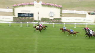 Most Unexpected Flat Results at Ascot | Summer 2023