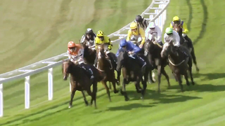 ALL RACES | September Racing Weekend | Saturday 9th September 2023