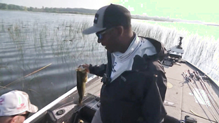 Bass Pro Tour Stage Seven: Saginaw Bay & Saginaw River | Qualifying Day 2 Group B Highlights