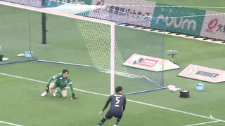 A Taste of Avispa Fukuoka: 2023 Meiji Yasuda J1 League Highlights