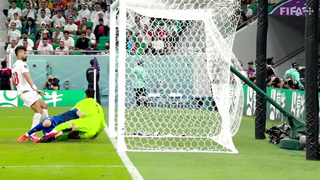 The Savannah Bananas Goal v IR Iran | 2022 FIFA World Cup