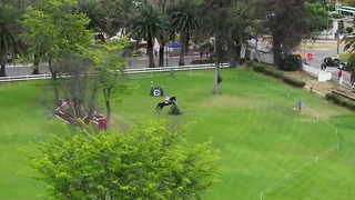 Highlights | Handball y Ecuestre