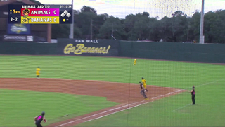 Top 5 MLB Player Appearances of 2022 I Banana Ball