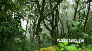 BAL Media Event in Rwanda: Announcements - June 19th 2023