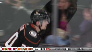 Chicago Blackhawks vs Anaheim Ducks: NHL Highlights