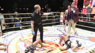 Crazy MMA Fight: Man vs Two Thai Tigers