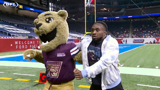 What the Panthers love most about Michigan | United Football League