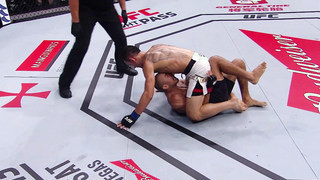 So Many Champions! Every Former and Current Champion Competing at UFC 300