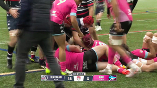 HIGHLIGHTS | New England vs Miami