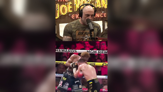 Joe Rogan On Vasyl Lomachenko