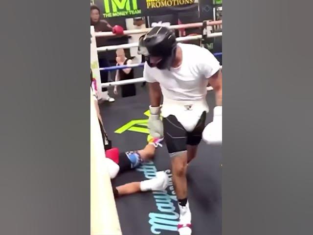 Rolly Romero Gets KNOCKED OUT AGAIN!! Sparing